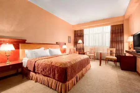 Ramada Plaza By Wyndham Gence - 51