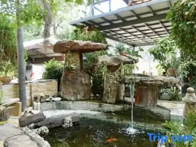 Sunny Stone Villa - 38