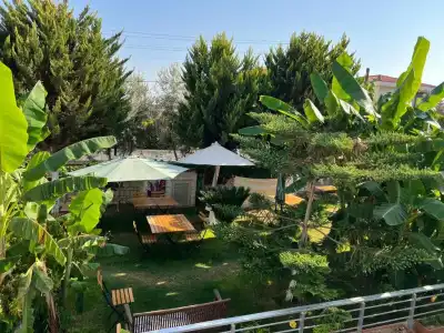 Lupa Alacati - 42
