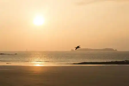 Escale Oceania Saint-Malo - 11