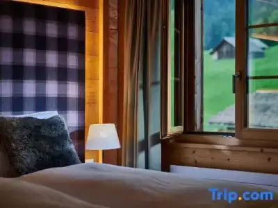 Aspen alpin lifestyle Grindelwald - 49