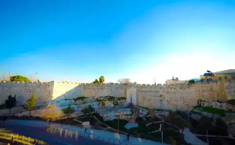 Golden Walls - 0