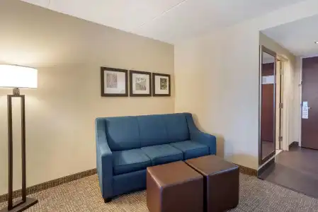 Comfort Suites Fredericksburg North - 16