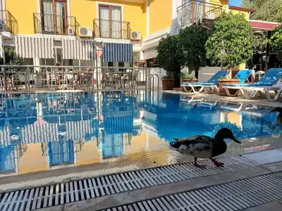 Barlas Fethiye - 10
