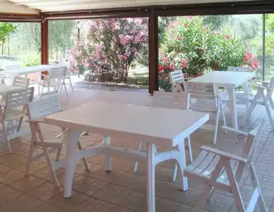 Apartment Agriturismo Le Mimose in Imperia - 56