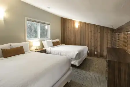 The Juniper - 50
