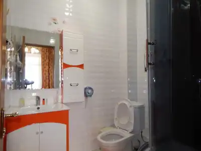 Mini Alikhan - 11