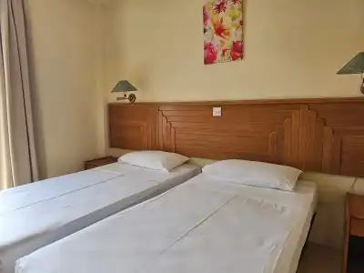 Ambassador - 4