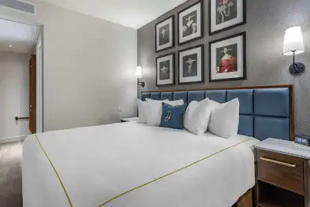 The Draper New York, Tapestry Collection by Hilton - 34