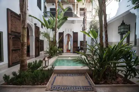 Riad Jaaneman - 14
