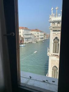 Pesaro Palace - 49