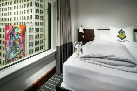 Staypineapple, An Iconic, The Loop - 29