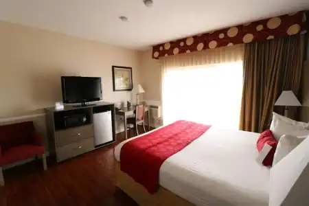 Ramada by Wyndham San Diego Airport - 38