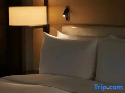 Niccolo Chengdu - 104