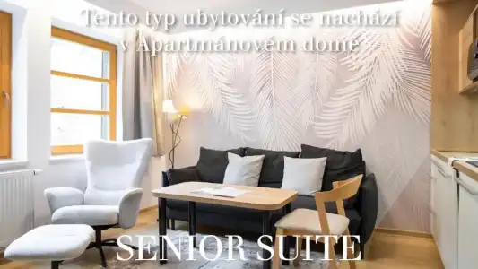 Amenity & Resort Špindlerův Mlýn - 106