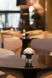 Renaissance Chengdu - 12