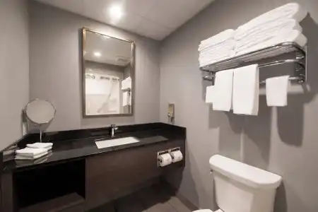 Hôtel & Suites le Dauphin Québec - 56
