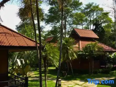 Pai Hotsprings Spa Resort - 47