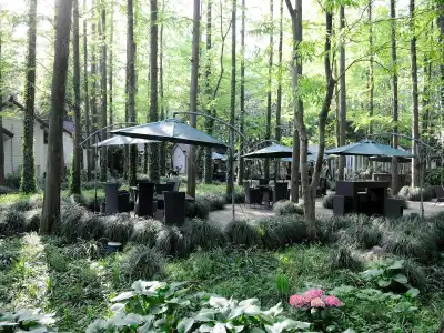 Lotus Glade - 3