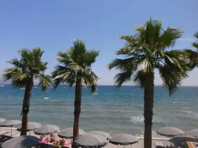 Bor Hôtel & Restaurant - Plage privée - 61