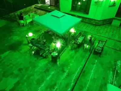 Green House - 43