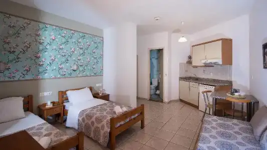 Sarpidon Apartments - 105