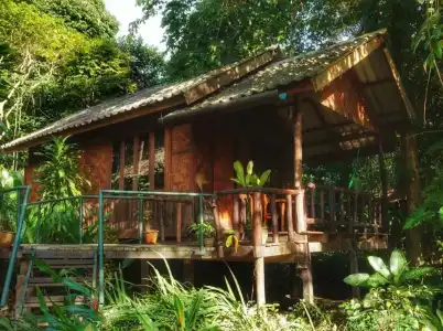 Khao Sok Riverside Cottage - 81