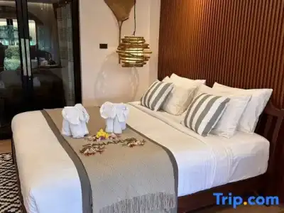 Khaosok Boutique Camps - 104