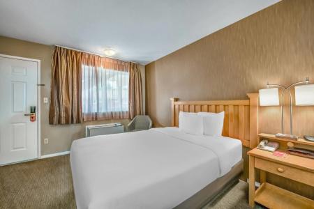 Econo Lodge Inn & Suites - 6