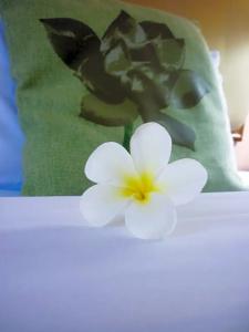 Wattana Park - 29