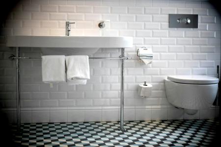 ArtBlaue Gans - 7