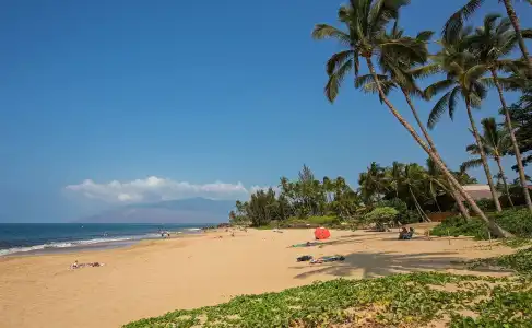 Maui Coast - 21