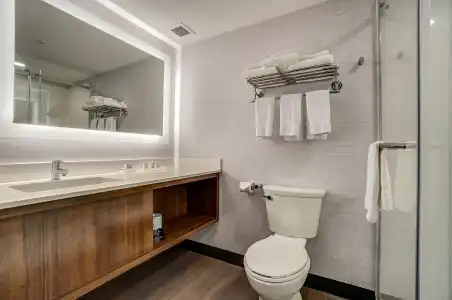 Holiday Inn GATINEAU – OTTAWA by IHG - 13