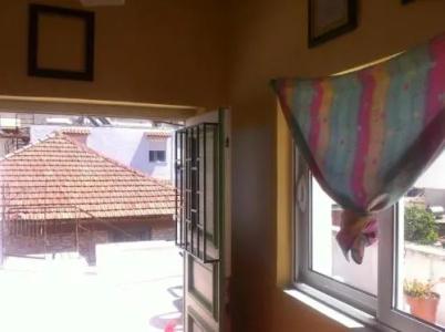 Dolphin Hostel - 3