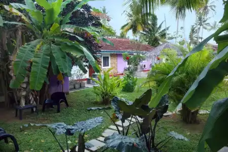 Turtle Eco Beach Resort - 17