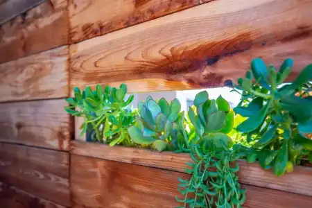 Shell Beach Inn - 71