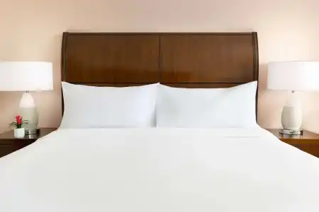 Hilton Garden Inn Key West / The Keys Collection - 45