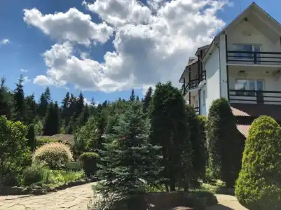 Smerekovyi Dvir - 10