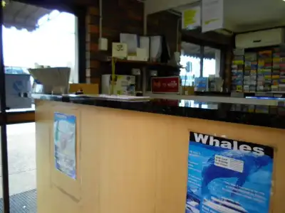Montego Mermaid Beach Motel - 25