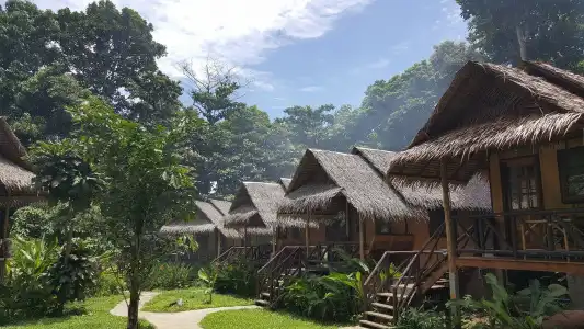 Jungle Garden - 11