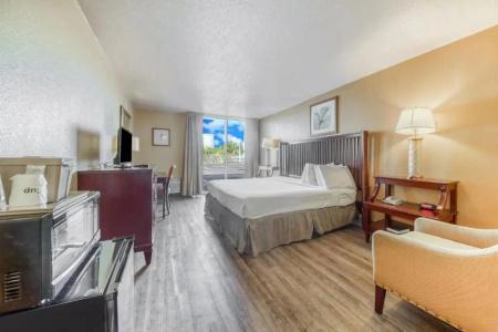 B&B Orlando International Drive Near Universal - Newly Renovated! - 157