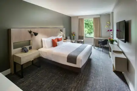 The Delaney - 5