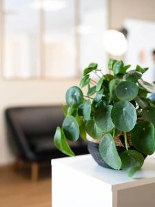 Grand Cap Rooftop Pool - 22