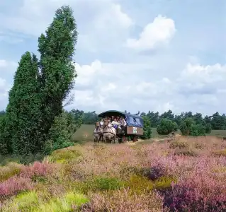 Morada Heidesee Gifhorn - 19