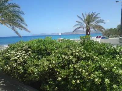 Petras Beach - 10