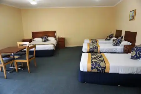 Jacksons Motor Inn - 113