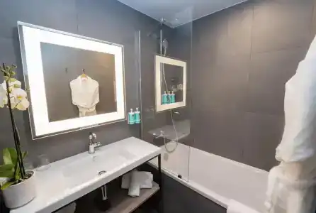 Novotel Angers Lac de Maine - 100