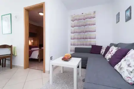 Apartments Vojin - 33