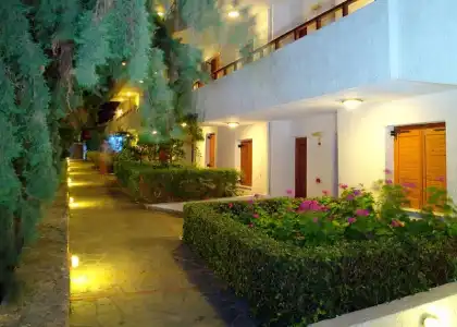 Sentido Kyknos Beach Adults Only - 55