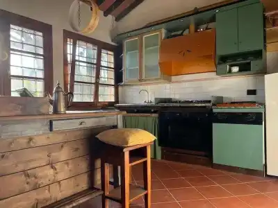 Gatto Bianco Tizzauli - 27